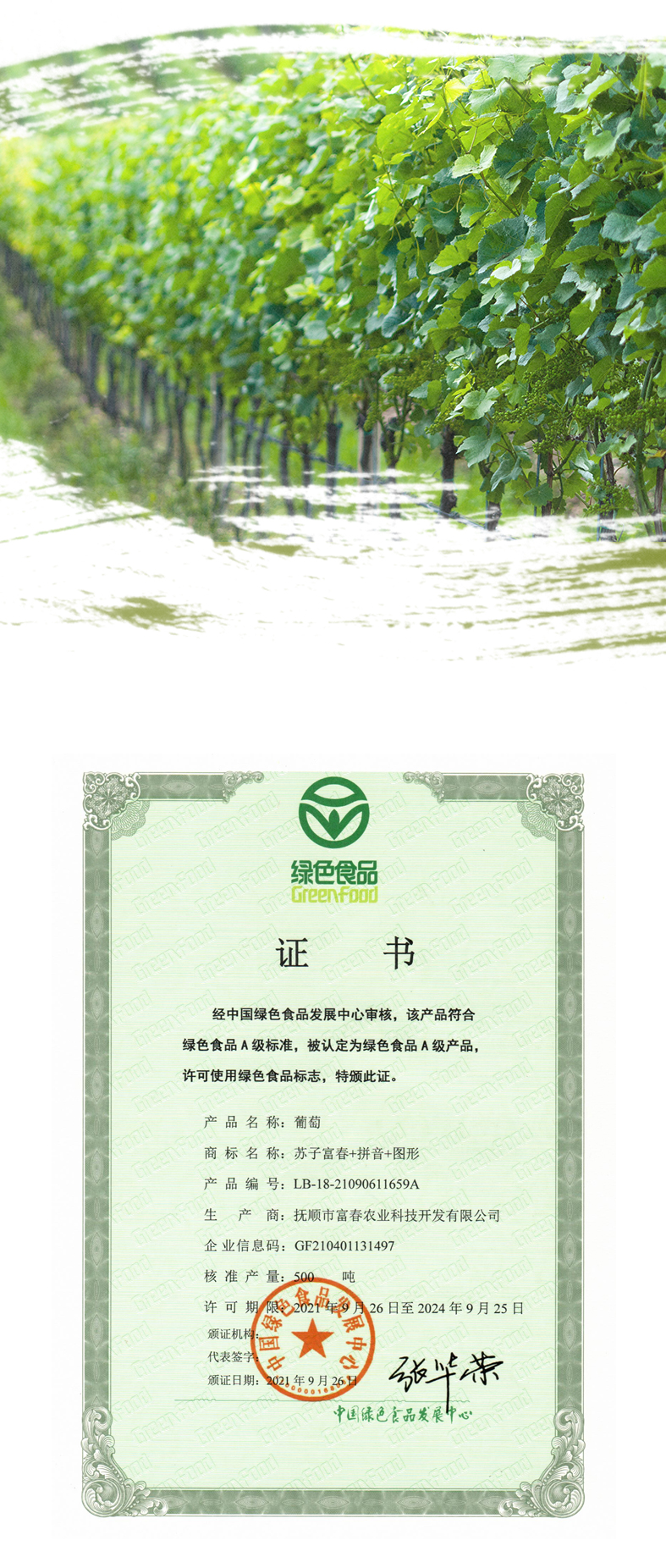 遼峰葡萄_06.jpg